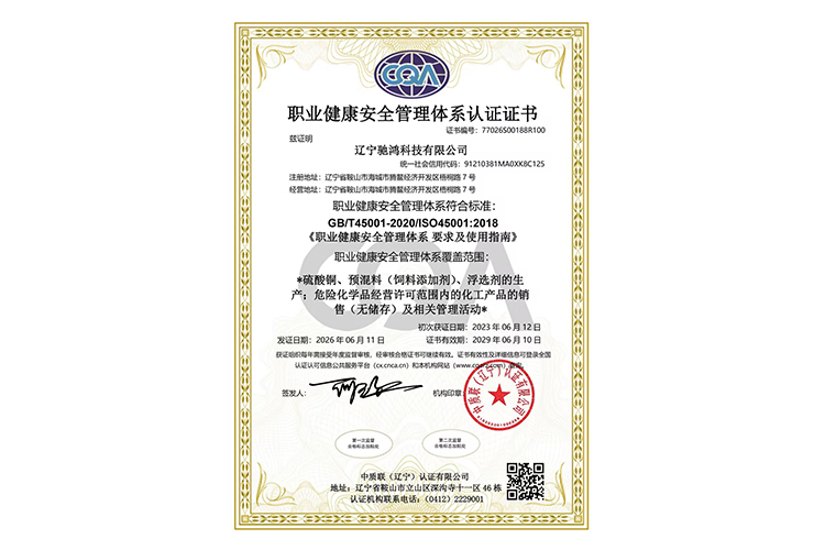 职业健康安全管理体系认证证书（中文）