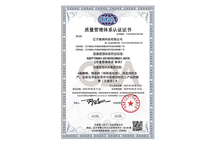 质量管理体系认证证书（中文）